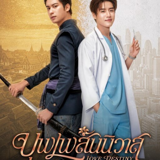 Two men back-to-back: a swordsman and a doctor on a gold-toned city backdrop, poster for Love Destiny.
